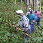 20112308130827-509.jpg